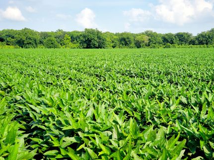 Ranch Property for sale in Bolivar County, Mississippi