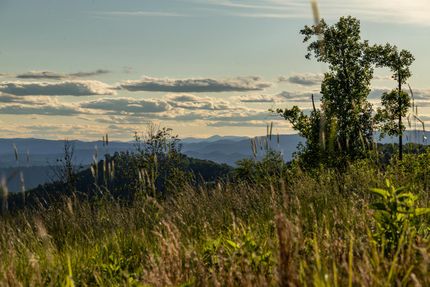 Property for sale in Wilkes County, North Carolina