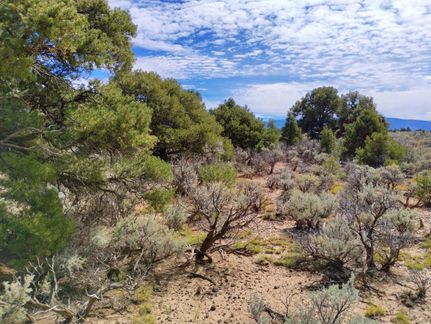 Undeveloped Land for sale in Costilla County, Colorado