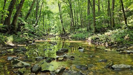 Undeveloped Land for sale in Searcy County, Arkansas