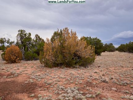 Property for sale in Yavapai County, Arizona