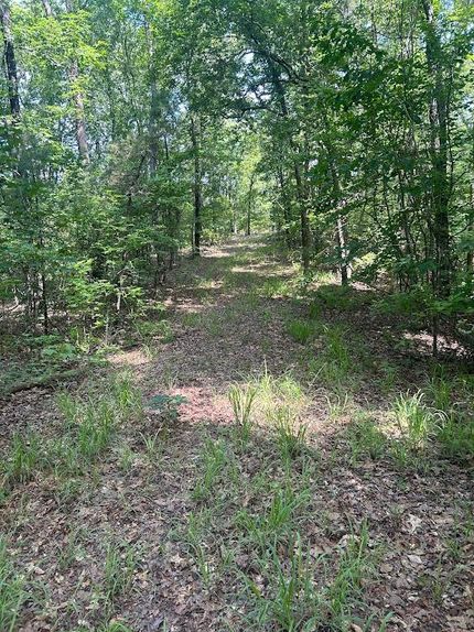 Property for sale in Tuscaloosa County, Alabama