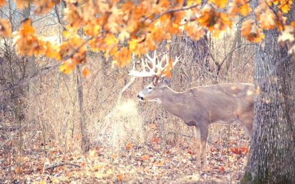 Residential Property for sale in Bourbon County, Kansas