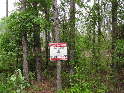 Property for sale in Winston County, Alabama