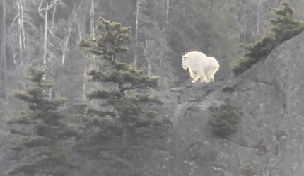 Property for sale in Chouteau County, Montana