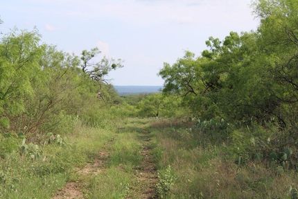 Undeveloped Land for sale in McCulloch County, Texas