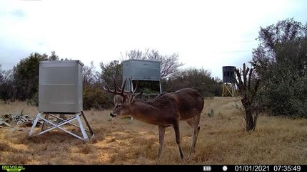 Hunting Land for sale in Kinney County, Texas
