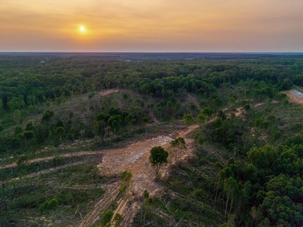 Property in Weakley County, Tennessee