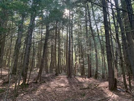 Undeveloped Land for sale in Warren County, New York