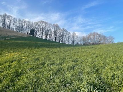 Property in Russell County, Virginia