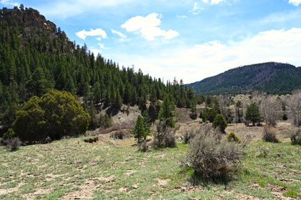 Property for sale in Rio Arriba County, New Mexico