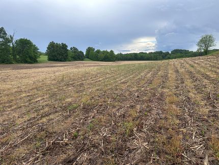 Recreational Property for sale in Alexander County, Illinois