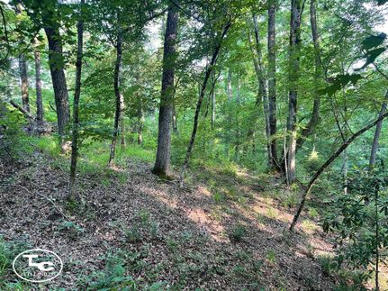 Property for sale in Wilcox County, Alabama