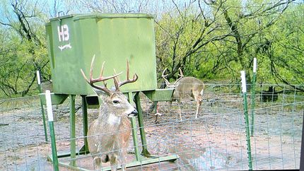 Property for sale in Hardeman County, Texas