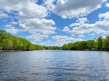 Property in Marion County, South Carolina