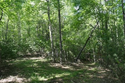 Property for sale in Carroll County, Virginia