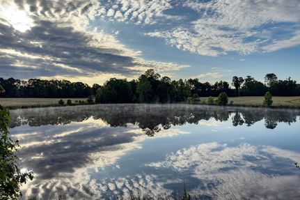 Property for sale in Abbeville County, South Carolina