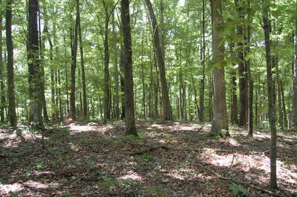 Property for sale in Dade County, Georgia