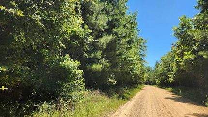 Property for sale in Dallas County, Arkansas