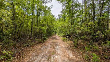 Property in Putnam County, Florida