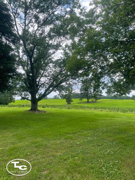 Property in Cullman County, Alabama