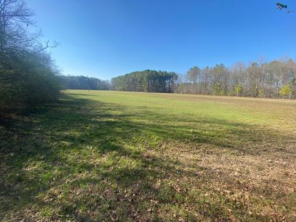 Riverfront Property for sale in Leake County, Mississippi