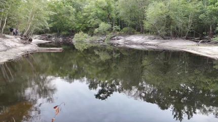 Undeveloped Land for sale in Charlton County, Georgia