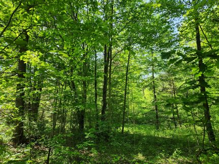 Property in Chemung County, New York