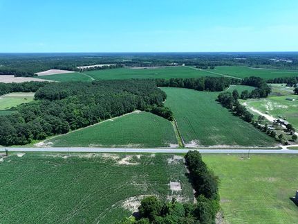 Timberland Property for sale in Robeson County, North Carolina