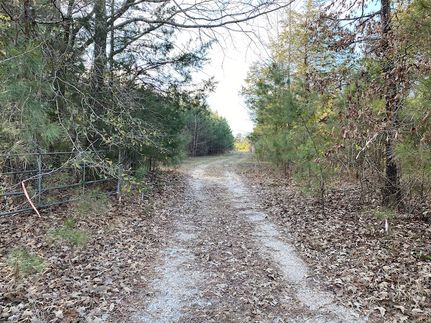 Property in Dallas County, Arkansas