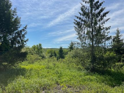 Property for sale in Allegany County, New York