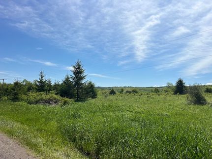 Undeveloped Land for sale in Allegany County, New York