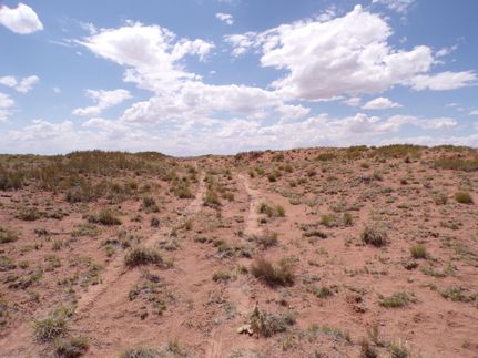 Property in Navajo County, Arizona