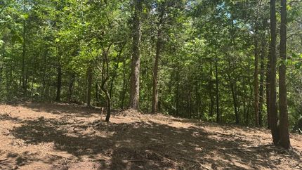 Property for sale in Cass County, Texas