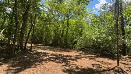 Property for sale in Cass County, Texas