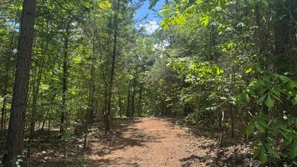 Property for sale in Cass County, Texas