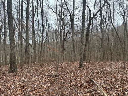Hunting Land for sale in Marion County, Tennessee
