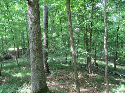 Undeveloped Land for sale in Polk County, Wisconsin