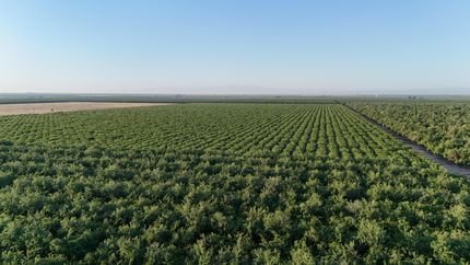 Property for sale in Kern County, California