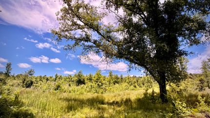 Farm Property for sale in Union Parish, Louisiana