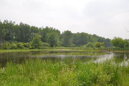 Property for sale in Kalamazoo County, Michigan