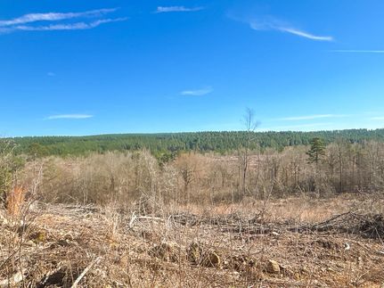 Timberland Property for sale in Pike County, Arkansas