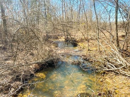 Property for sale in Pike County, Arkansas