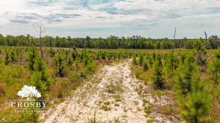 Property for sale in Burke County, Georgia