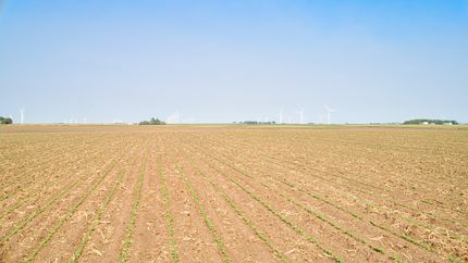 Property in Obrien County, Iowa