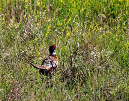 Property for sale in Graham County, Kansas