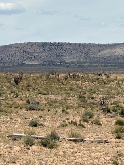 Property for sale in Socorro County, New Mexico