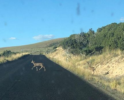 Property for sale in Elko County, Nevada