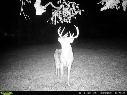 Property in Winneshiek County, Iowa