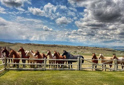 Farm Property for sale in Carbon County, Montana